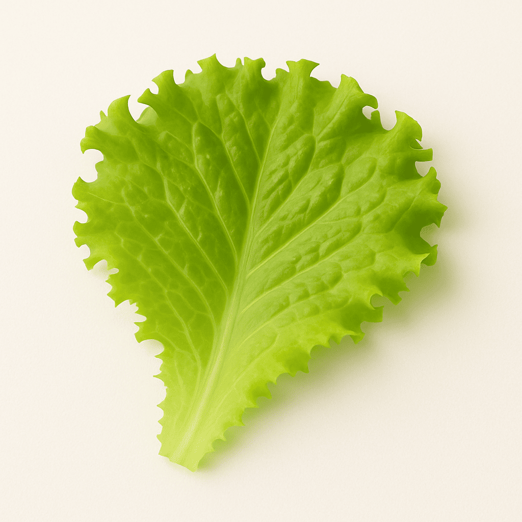 Лист салата